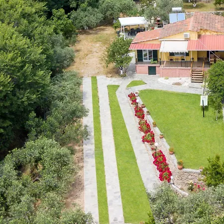 Xenophon House Holiday home Palaiontsiflikion