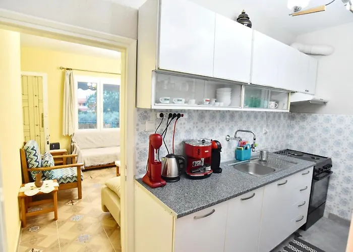 Xenophon House Prázdninový dům PalaiónTsiflíkion